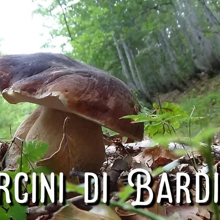 Kalimera Vendégház Bardineto